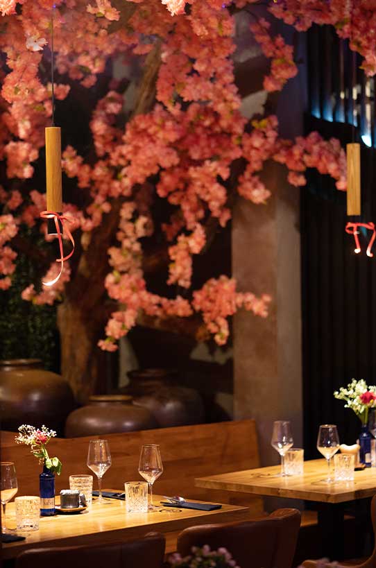 SUMINO Kirchheim Asiatisches Restaurant in Kirchheim